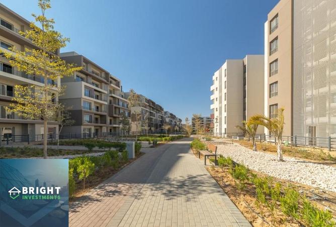 8418880 - Property Image 2