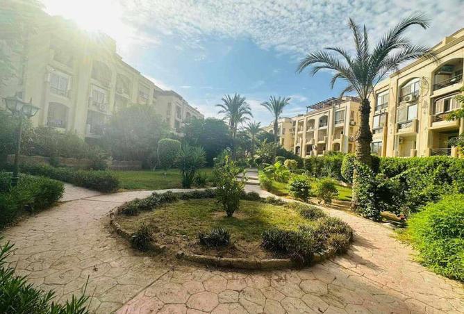 8159849 - Property Image 3