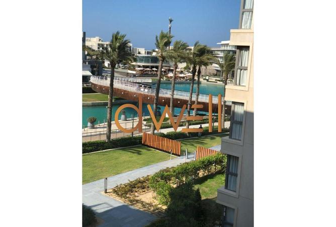 7957244 - صورة العقار 2