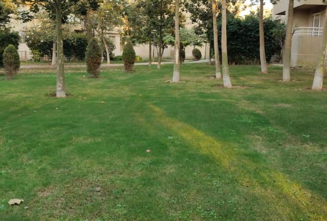 8174459 - Property Image 2