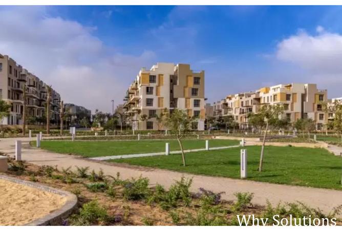 7769917 - Property Image 3