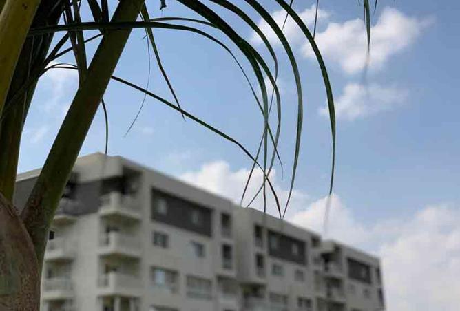 8500059 - Property Image 3