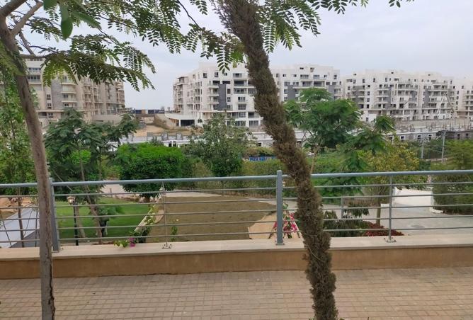 7908744 - صورة العقار 3