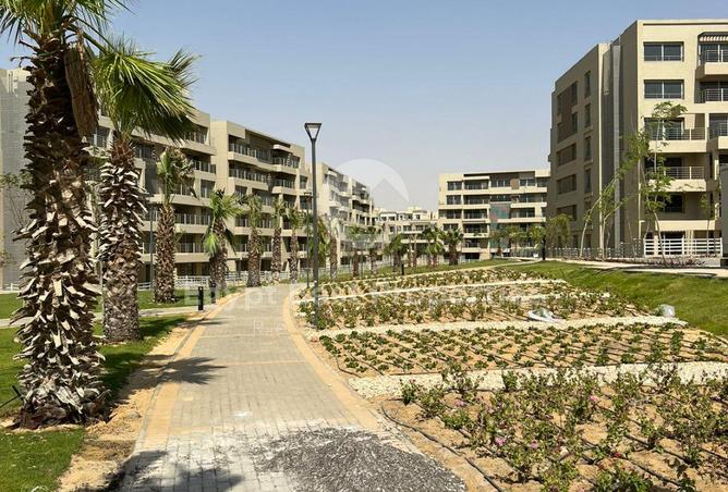 7917095 - الصورة الرئيسية للعقار