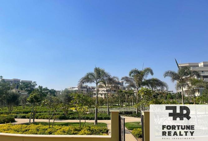 8376821 - Property Image 3