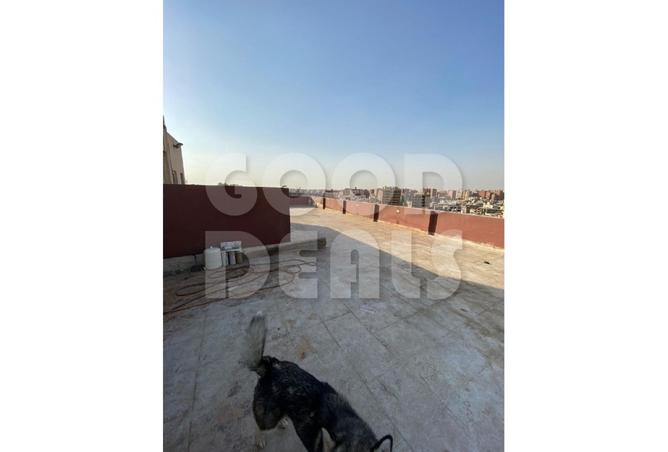 8022601 - صورة العقار 3