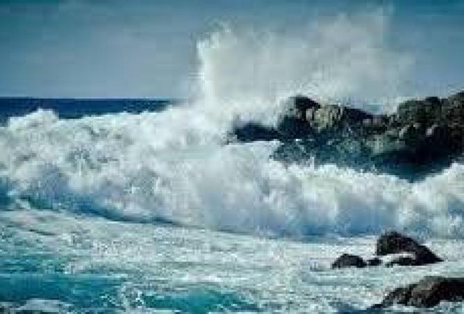 8359324 - الصورة الرئيسية للعقار