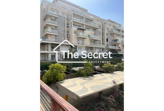 8112425 - Property Image 3