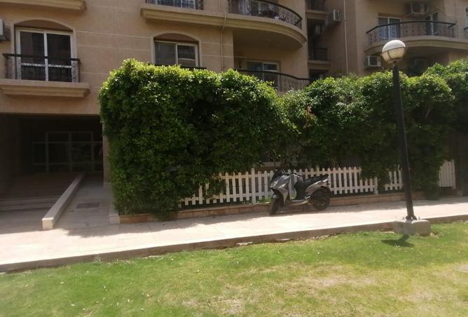 8151157 - صورة العقار 2