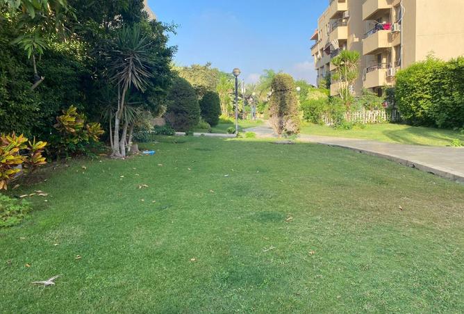 8095300 - صورة العقار 2
