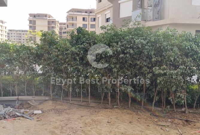 8541331 - Property Image 3