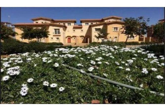 8175756 - صورة العقار 3