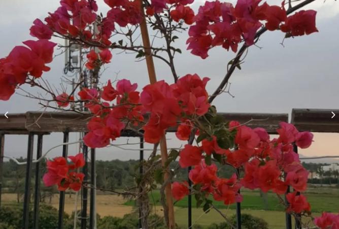 8405069 - Property Image 2