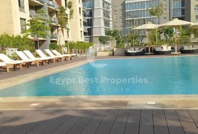 8252633 - Property Image 3