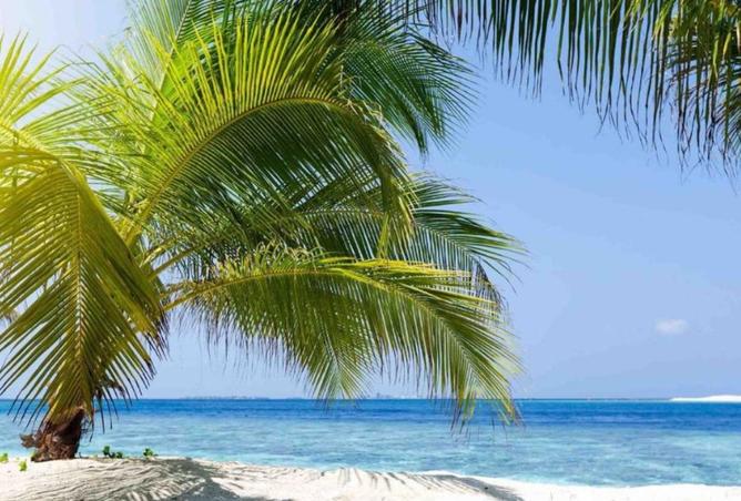 8152332 - صورة العقار 2