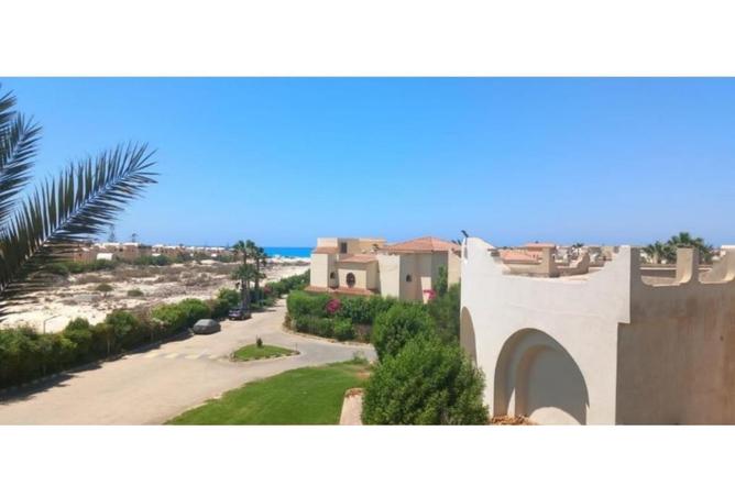 7908439 - صورة العقار 2