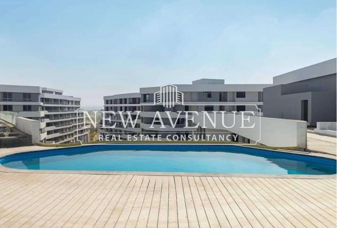 8446795 - Property Image 3