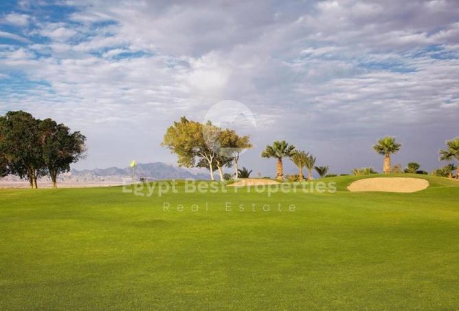 7983958 - Property Image 3