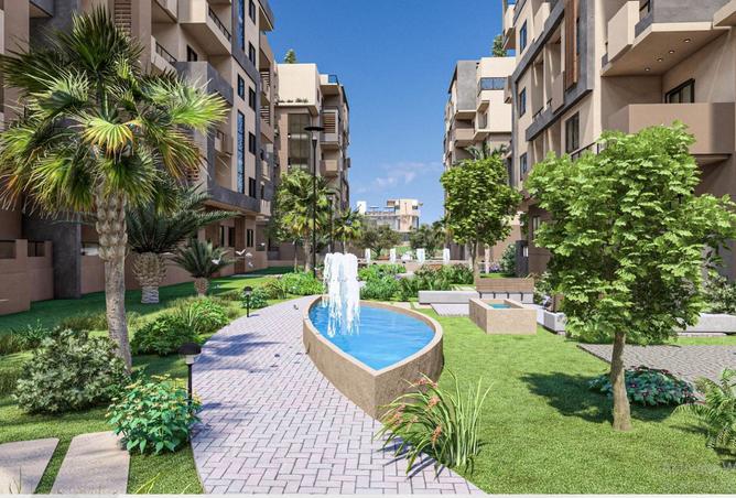 8381271 - Property Image 3