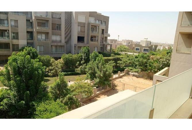 8032941 - صورة العقار 2