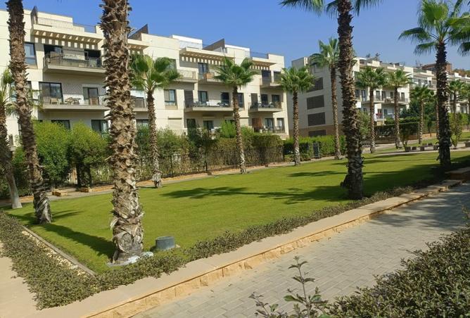 8172525 - Property Image 3