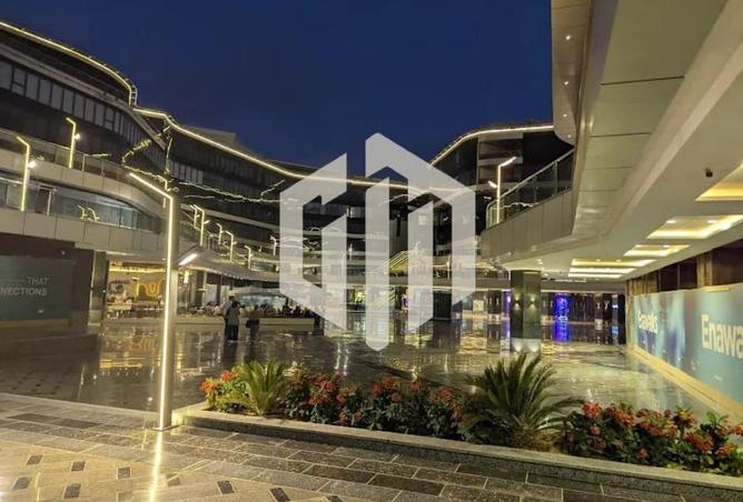 8135823 - Property Image 3