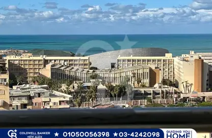 Apartment - 3 Bedrooms - 3 Bathrooms for sale in Azarita - Hay Wasat - Alexandria