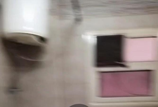 7980339 - Property Image 3