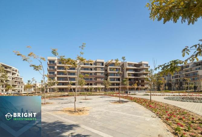 8076523 - Property Image 3
