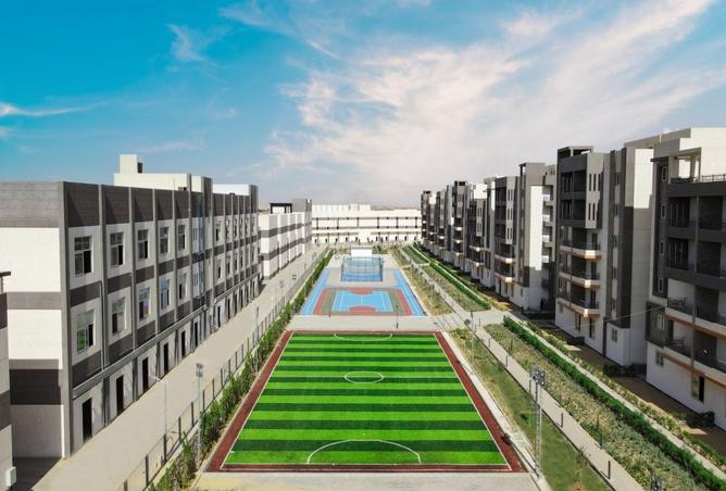 8403048 - صورة العقار 3