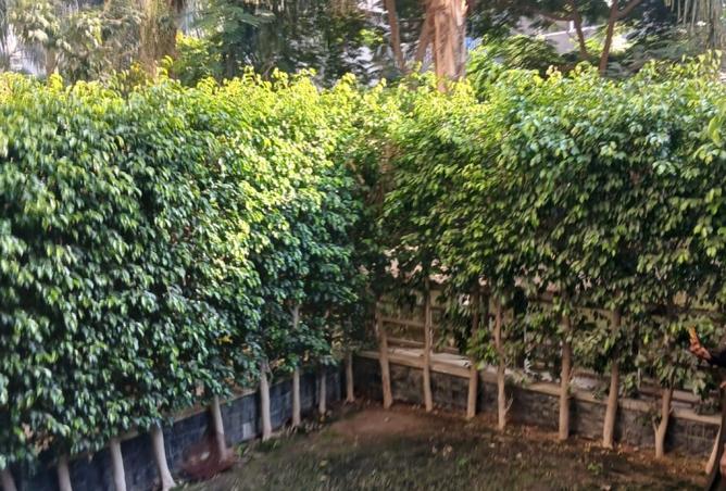 8021072 - صورة العقار 2