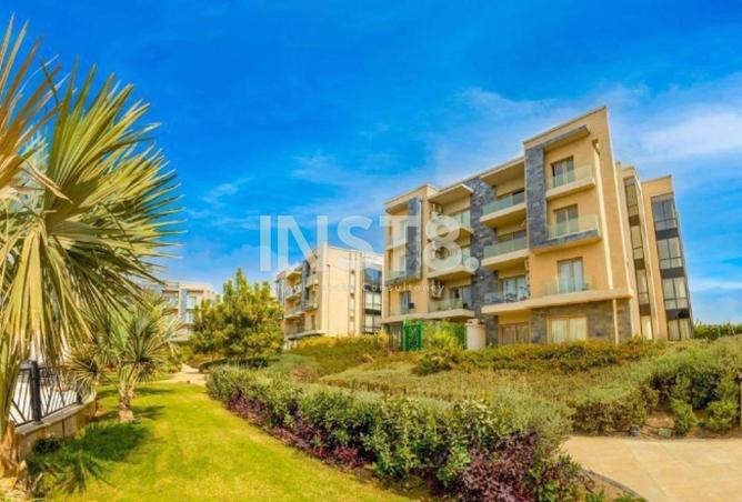 8306738 - Property Image 3