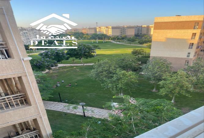 7972290 - صورة العقار 3