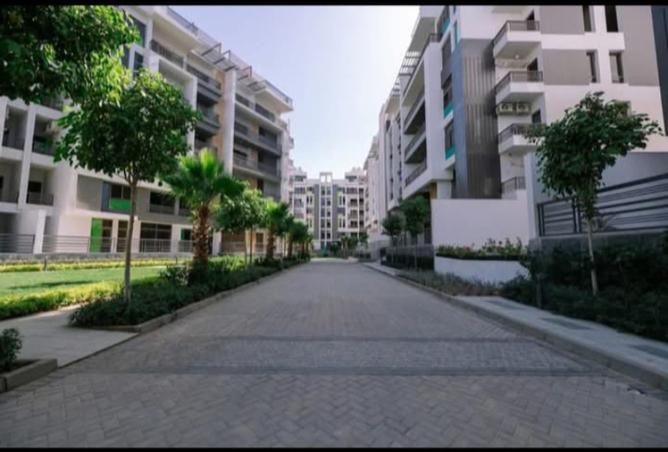 7955026 - صورة العقار 3