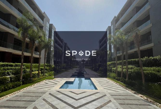 8186264 - Property Image 2