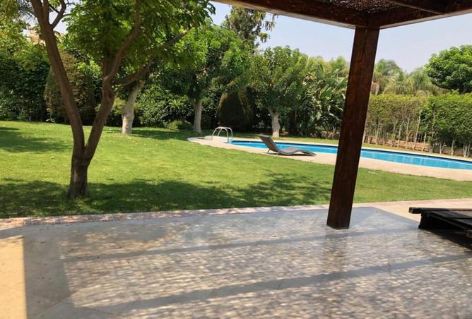 8169554 - صورة العقار 2