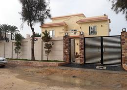 Villa - 6 bedrooms - 6 bathrooms for للبيع in Cortoba St. - King Mariout - Hay Al Amereyah - Alexandria