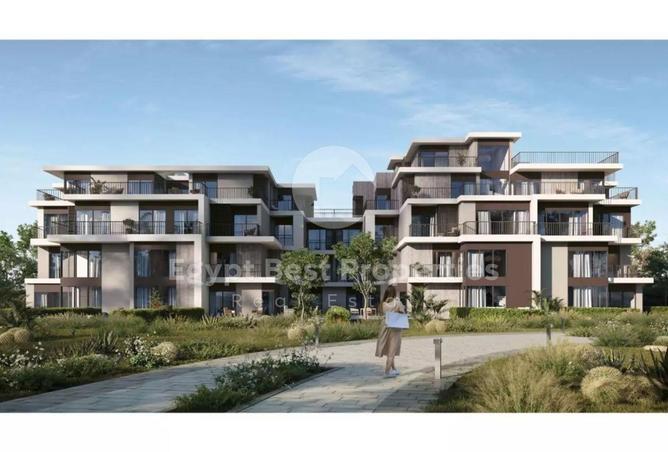 8403434 - Property Image 3