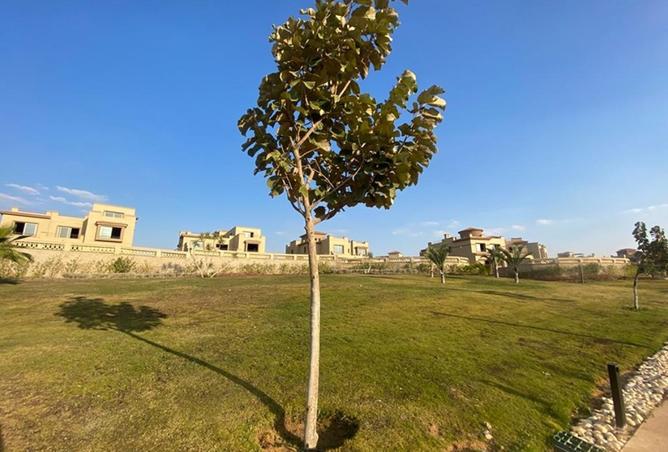 8187205 - Property Image 2