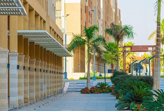 8462187 - Property Image 3