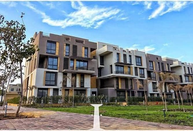 7998488 - Property Image 3