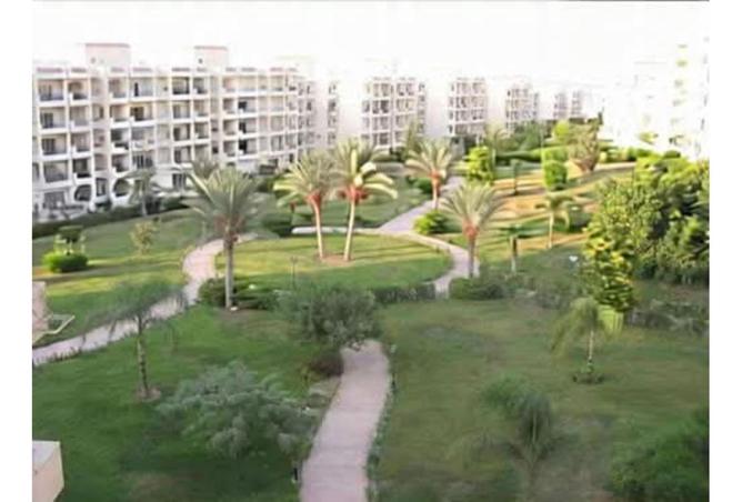 8142128 - الصورة الرئيسية للعقار