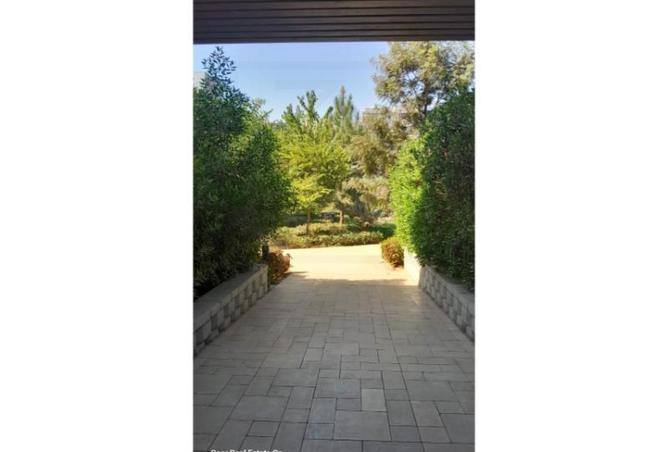 8009133 - صورة العقار 3