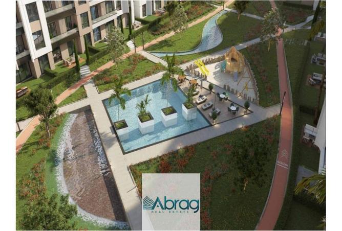 7917672 - Property Image 3