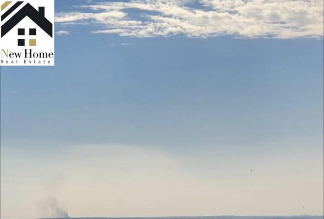 8484020 - Property Image 3