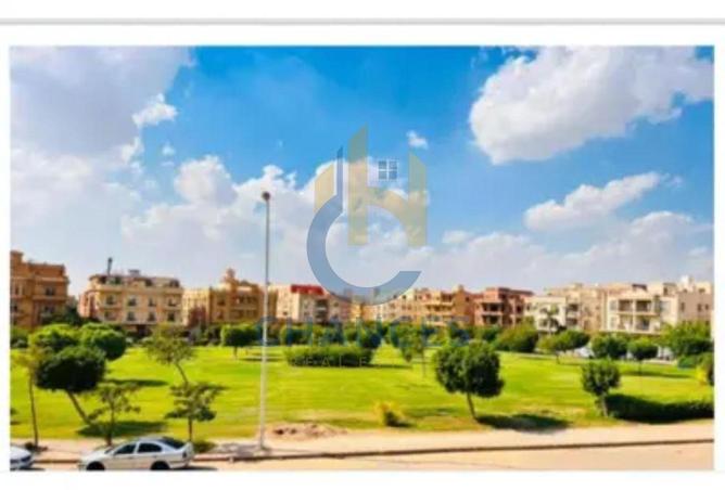 7939585 - Property Image 3