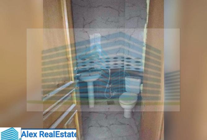 8105335 - Property Image 3