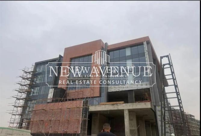 8135977 - Property Image 3