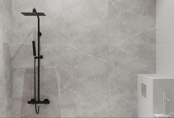 8550021 - صورة العقار 2