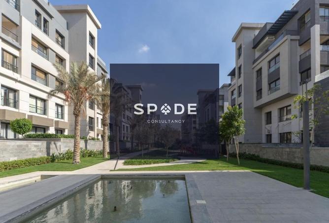 8471342 - Property Image 3